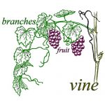 vineandbranches