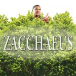 zacchaeus